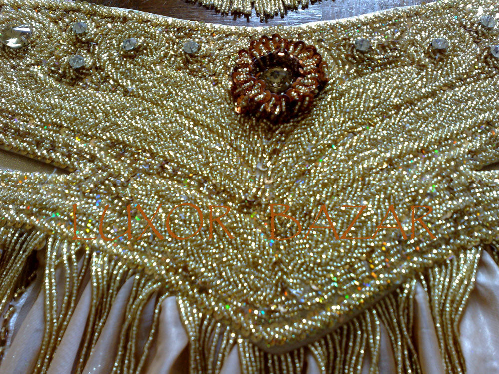 Professional Egyptian Belly Dance Costume BELLYDANCE Custom-made Any Colour New