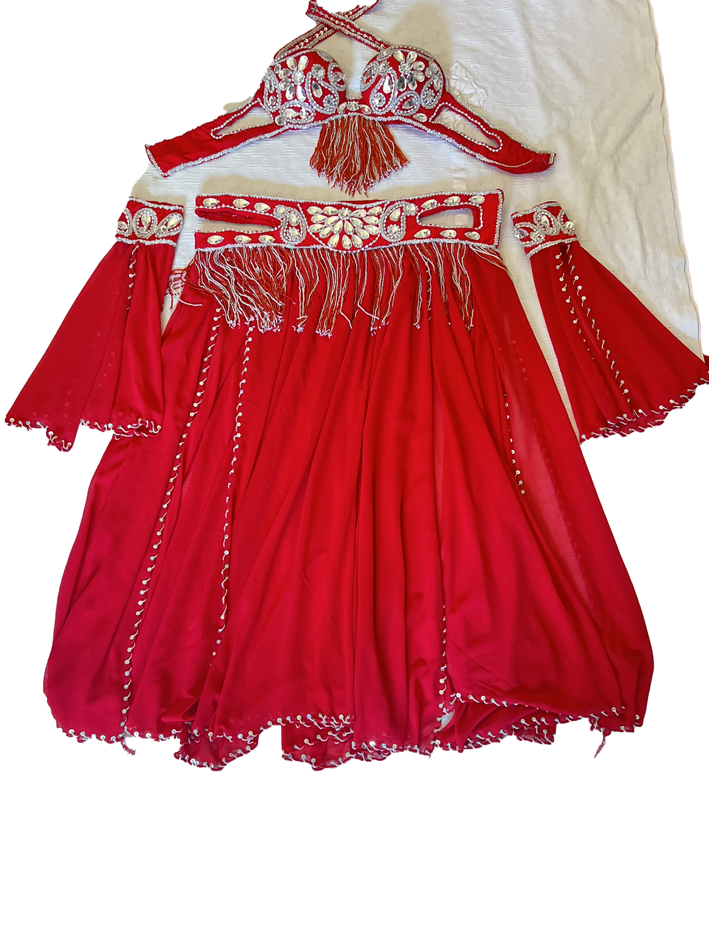 Professional Belly dance costume/ Custom-made luxurious belly dancer outfit