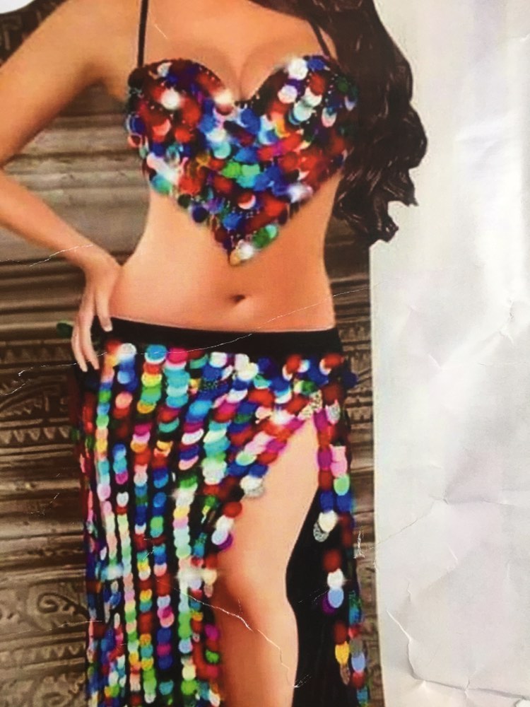 Egyptian Sexy simple belly dance costume, handmade embroidered belly dance dress