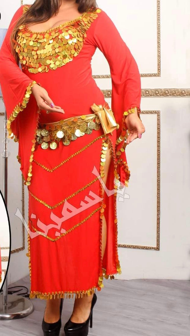 Oriental Egyptian Belly Dance dress, Women dancing costume, Hand stitched outfit