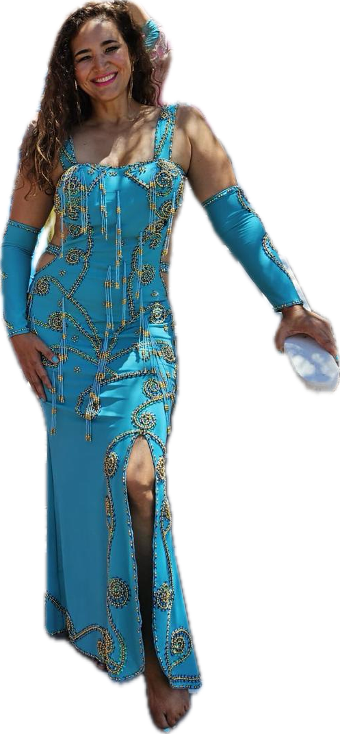 Professional Custom-Made Belly Dance Costume BELLYDANCE Dress + 2 Sleeves, Handmade Embroidered oriental outfit custom made for any size