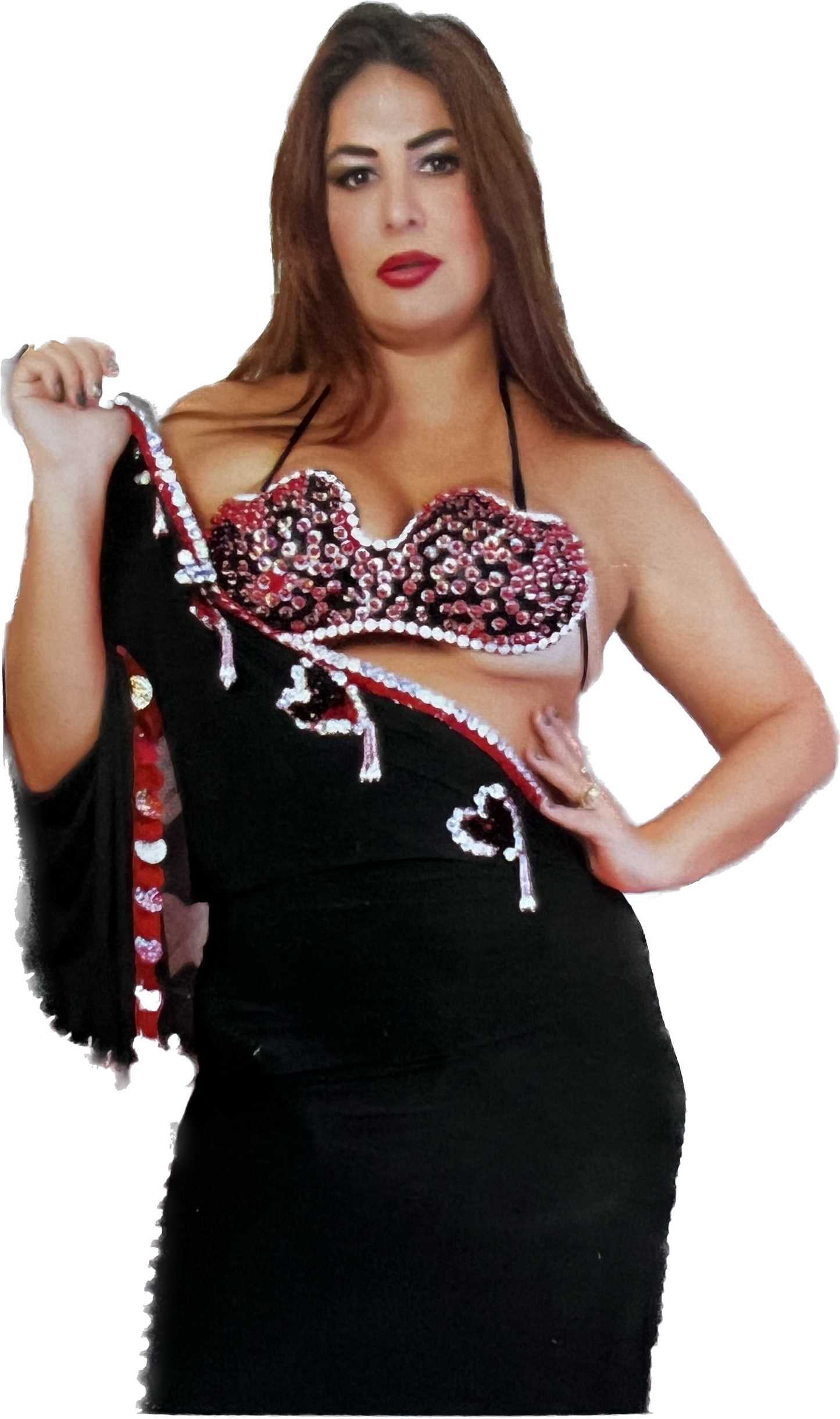 Egyptian Oriental Belly Dance Dress, with bra included, BELLYDANCE outfit, handmade embellished belly dance set, one size.
