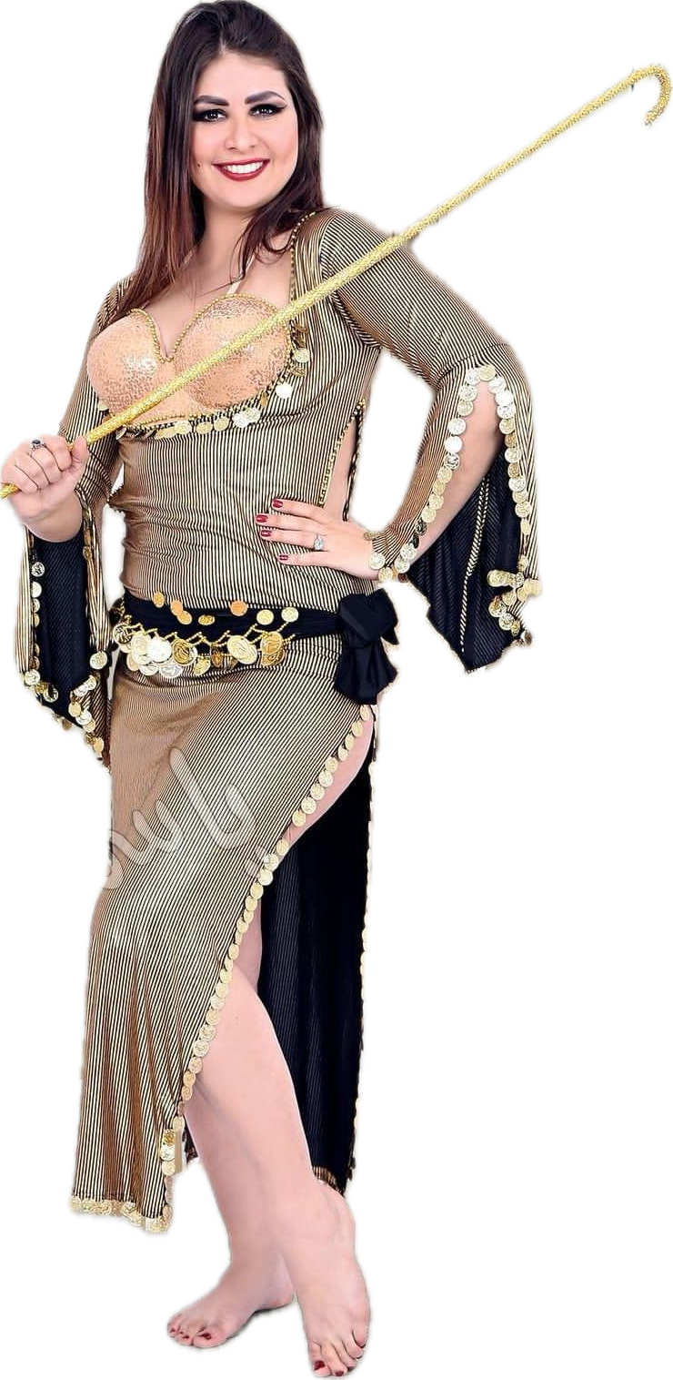 Egyptian Oriental Belly Dance Dress – Includes Bra & Scarf, Stunning Belly dance outfit