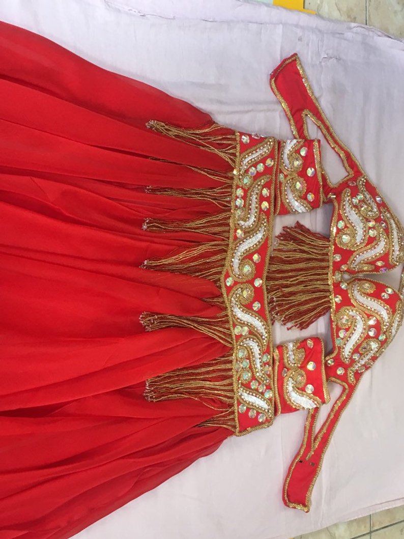 Professional Belly Dance Costume From Egypt BELLYDANCE Custom Made Any Colour, New Handmade Embroidered Outfit, Gypsy oriental dance costume