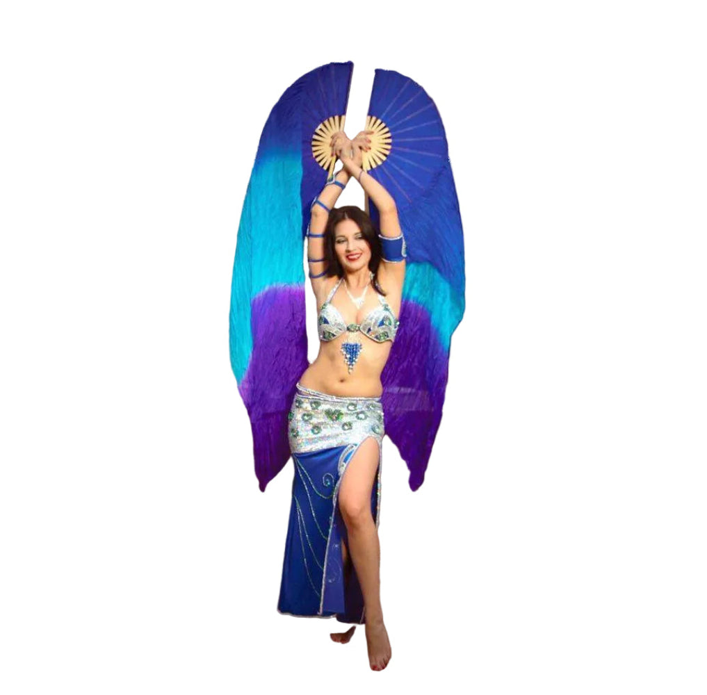 Dancer with colorful wings and costume on a white background