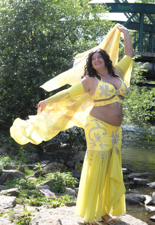 Egyptian professional belly dance costume, Belly dance Dress Custom-made, Gypsy oriental dance, Handmade embroidered oriental dance outfit.
