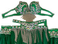 Green costume with embellishments and fringes on a white surface