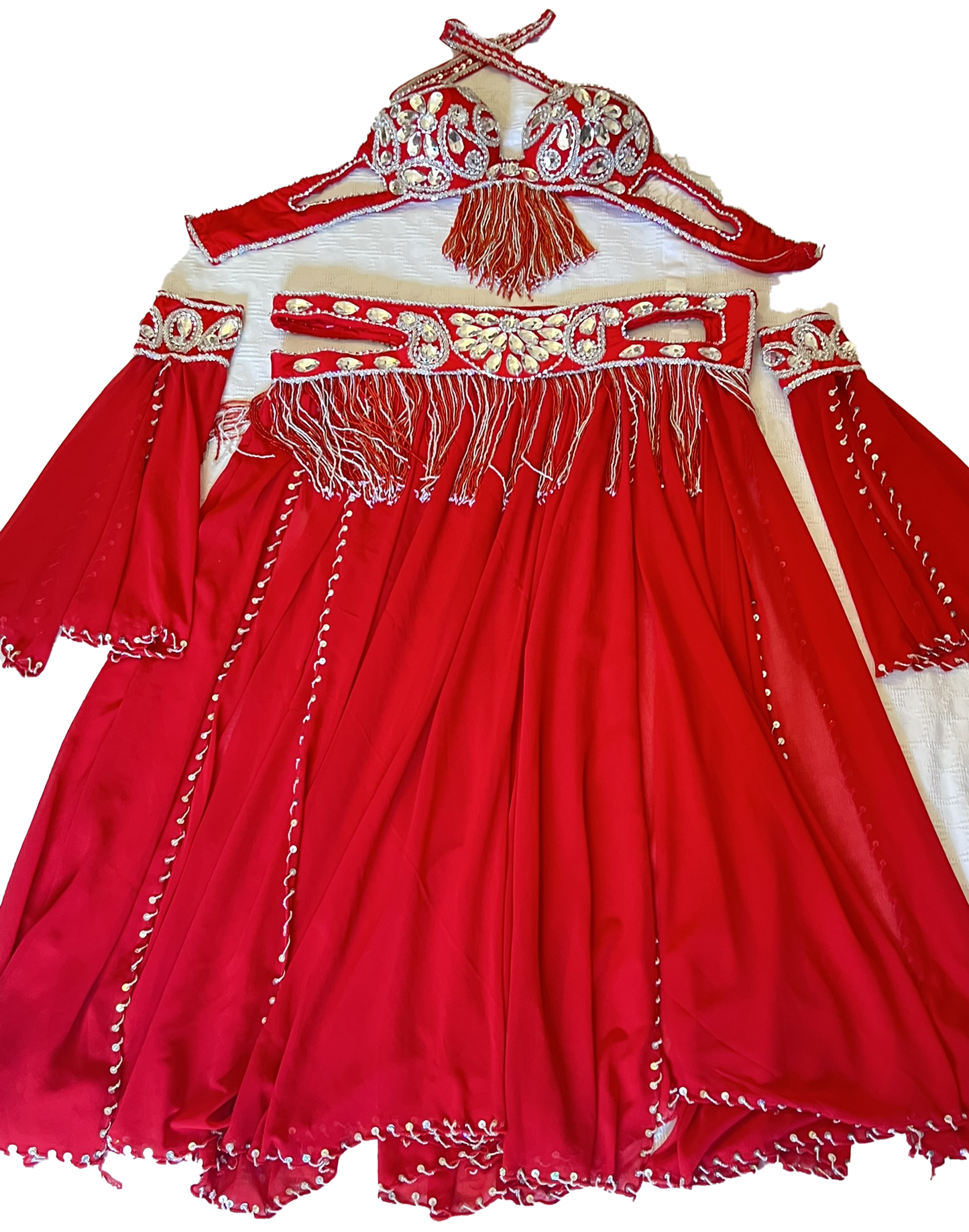Professional Belly dance costume/ Custom-made luxurious belly dancer outfit