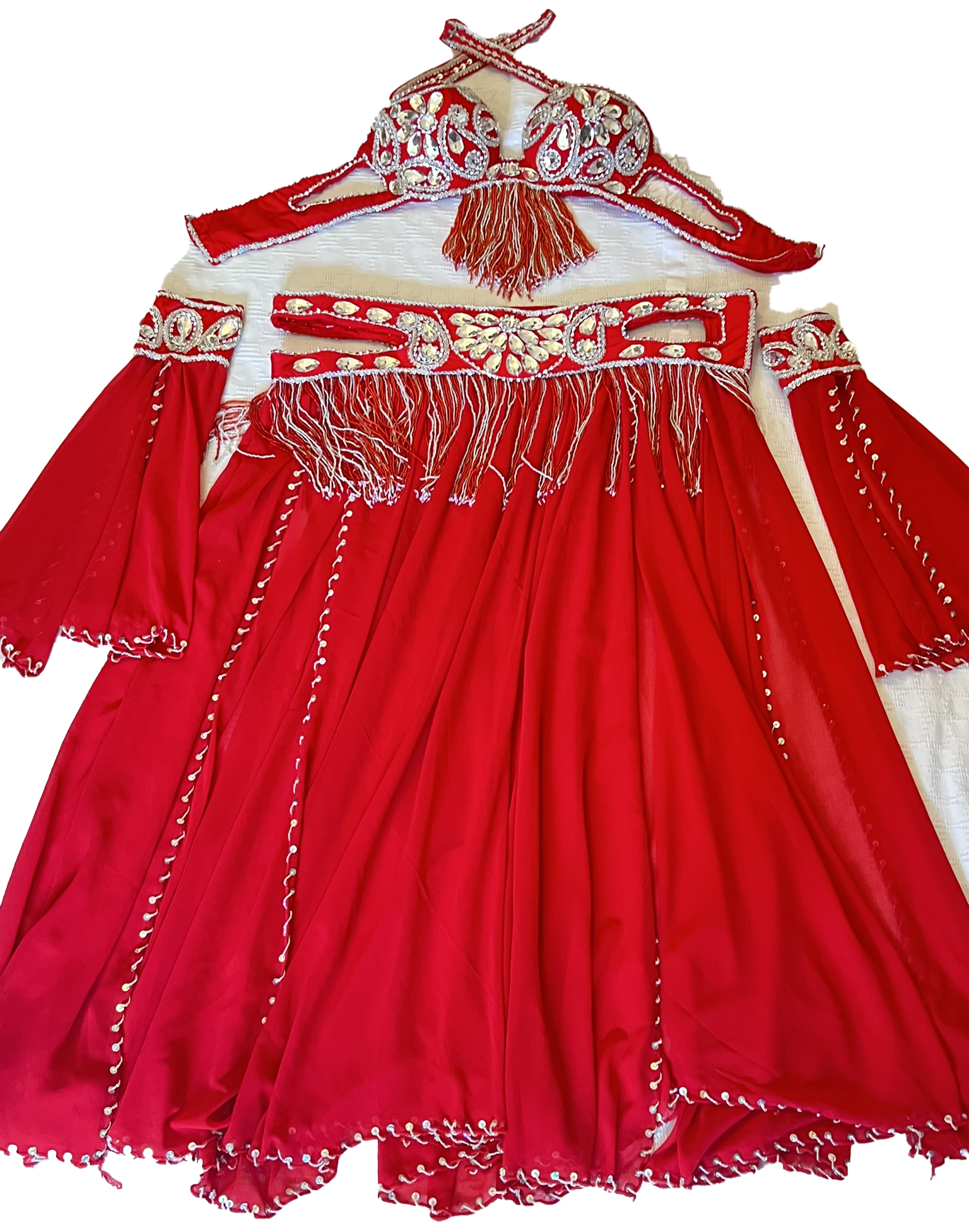 Professional Belly dance costume/ Custom-made luxurious belly dancer outfit