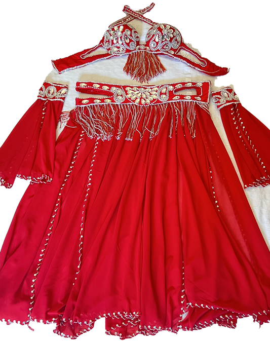 Professional Belly dance costume/ Custom-made luxurious belly dancer outfit