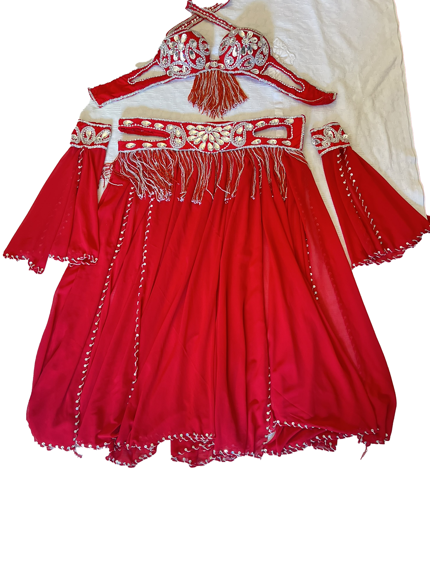 Professional Belly dance costume/ Custom-made luxurious belly dancer outfit