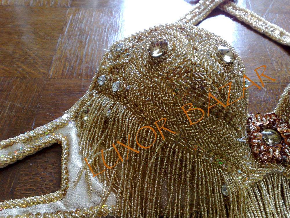 Professional Egyptian Belly Dance Costume BELLYDANCE Custom-made Any Colour New