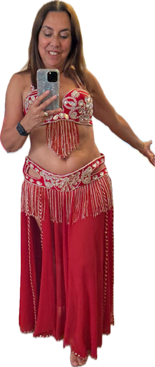 Professional Belly dance costume/ Custom-made luxurious belly dancer outfit