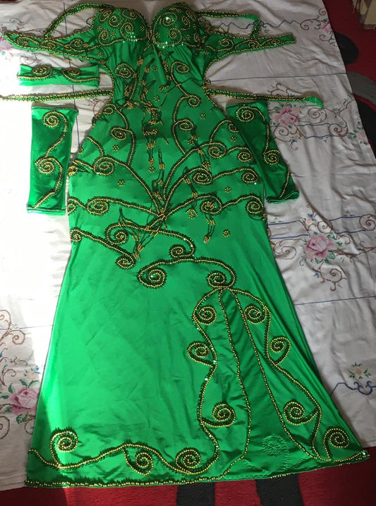 Professional Custom-Made Belly Dance Costume BELLYDANCE Dress + 2 Sleeves, Handmade Embroidered oriental dance outfit, made to order dress.