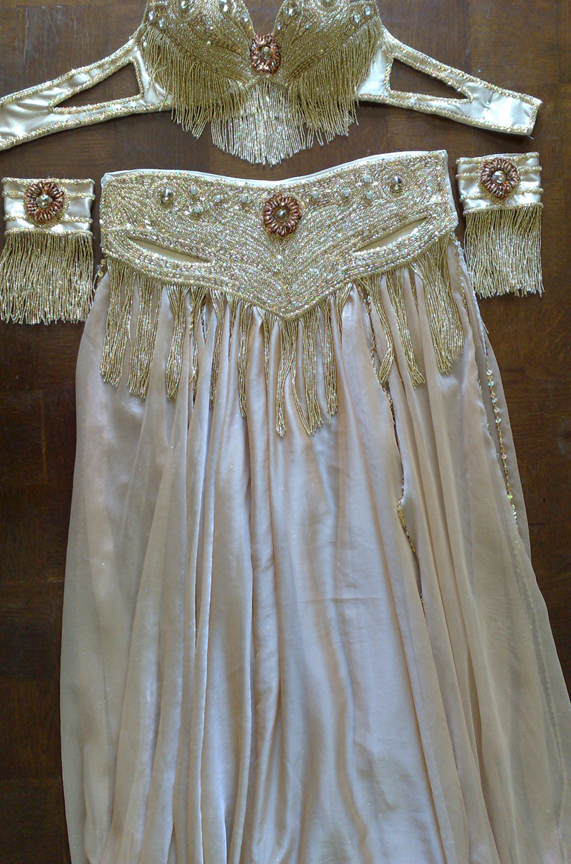Professional Egyptian Belly Dance Costume BELLYDANCE Custom-made Any Colour New