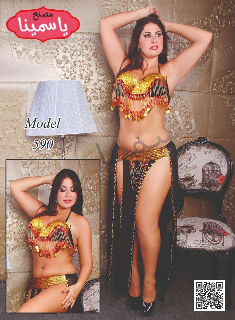 Sexy Egyptian belly dance costume/ Handmade belly dance belt, skirt and bra