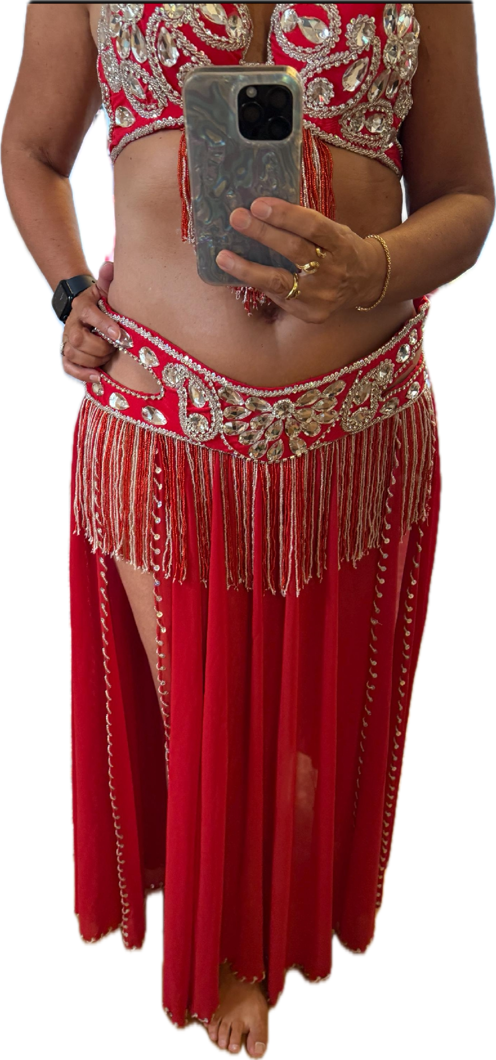 Professional Belly dance costume/ Custom-made luxurious belly dancer outfit