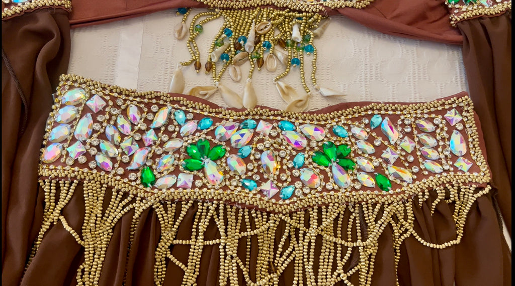 Professional Belly Dance Costume/ elegant Bronze Stage dancing Belt and Bra Set