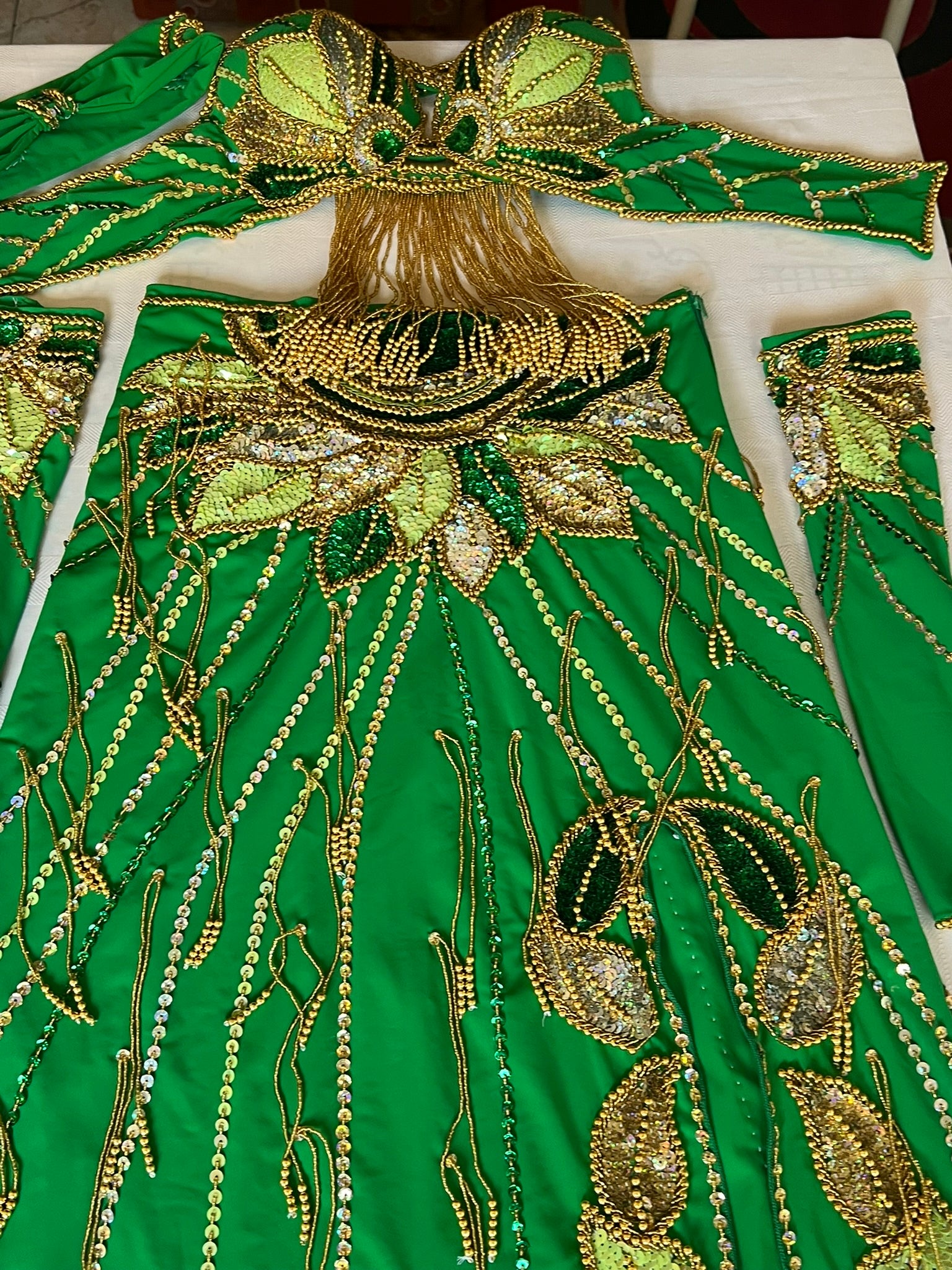 Vibrant green belly dance costume, custom-made dance ensemble, multi-colors embellished Outfit
