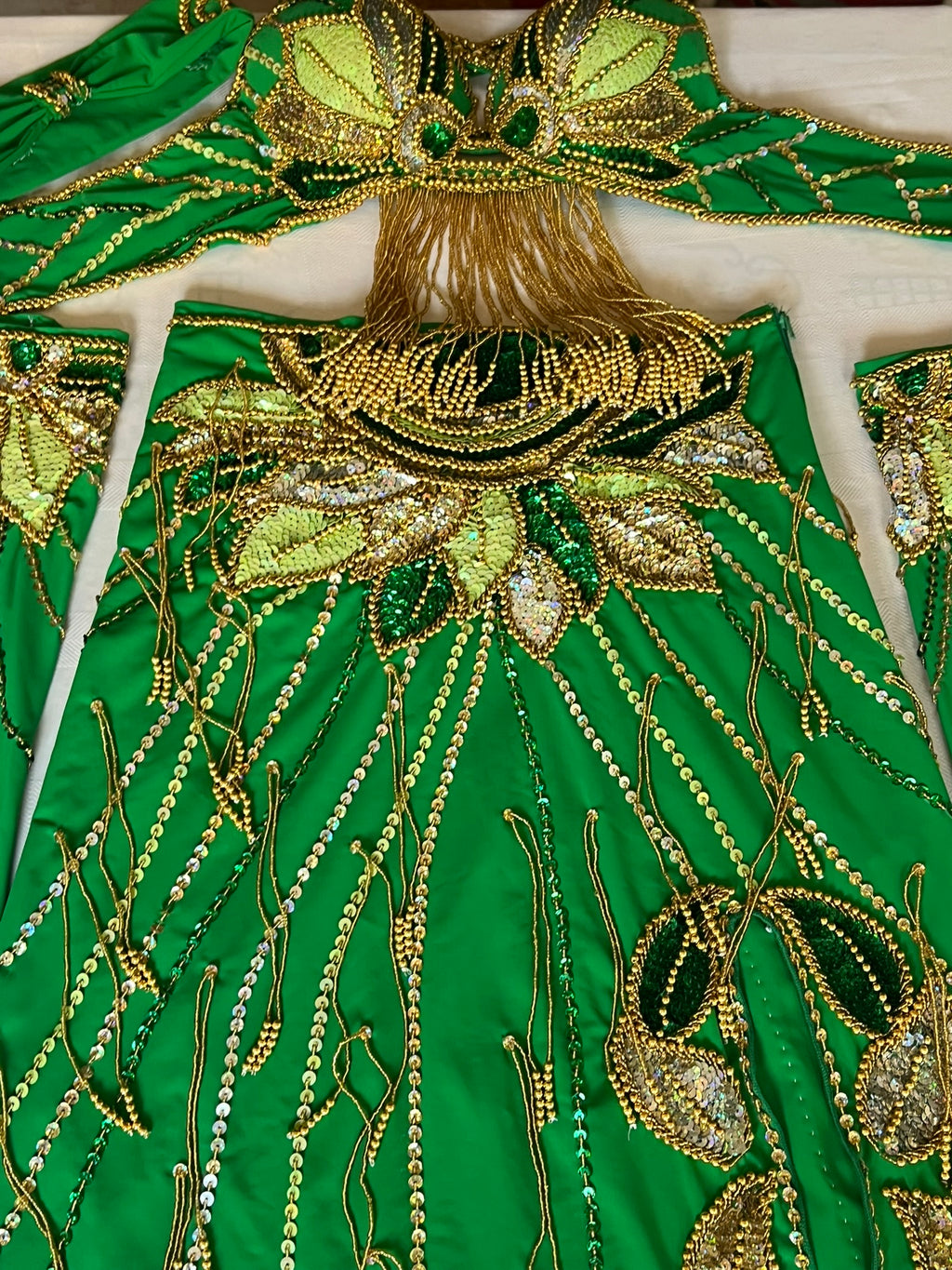 Vibrant green belly dance costume, custom-made dance ensemble, multi-colors embellished Outfit