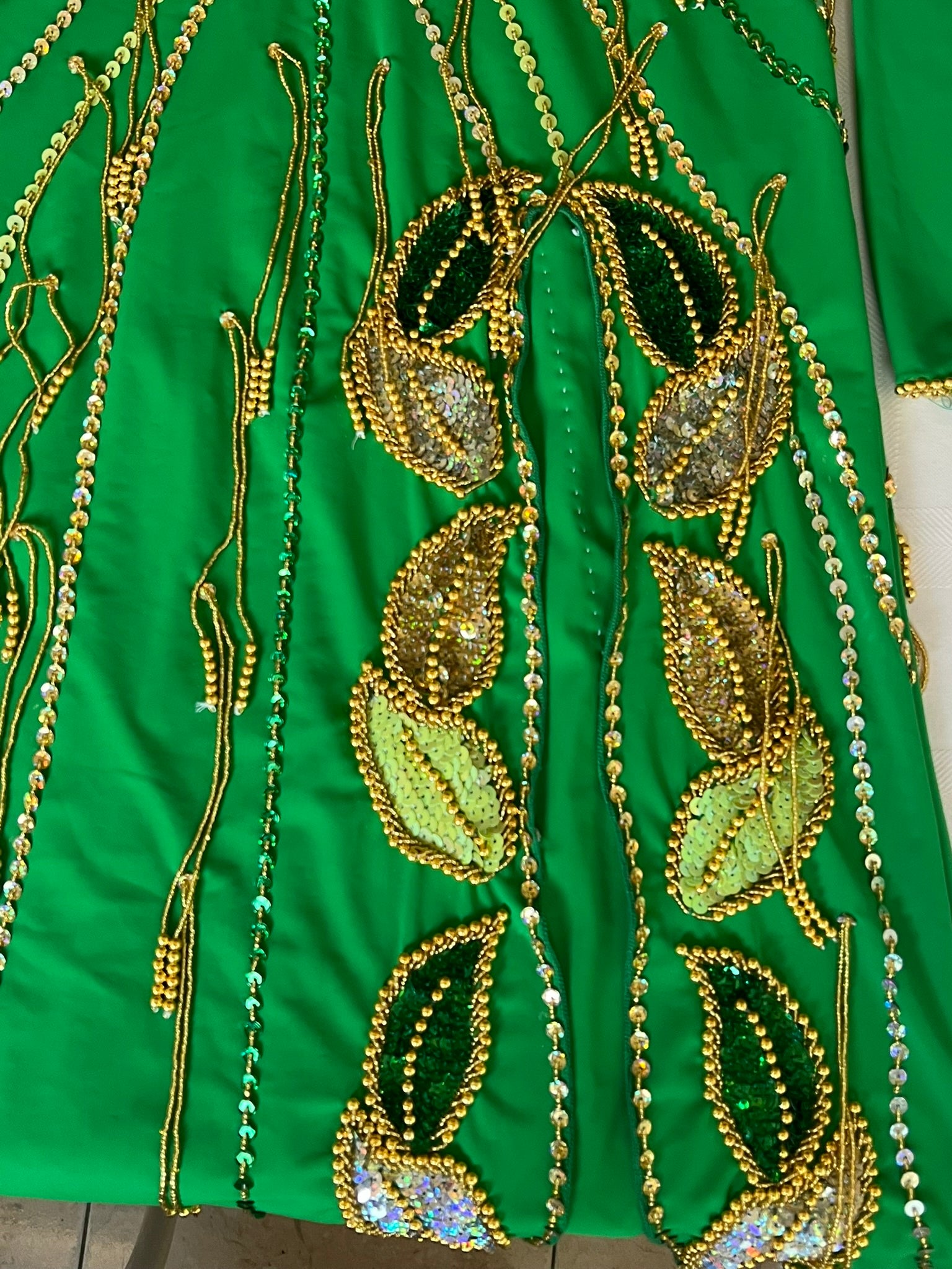 Vibrant green belly dance costume, custom-made dance ensemble, multi-colors embellished Outfit