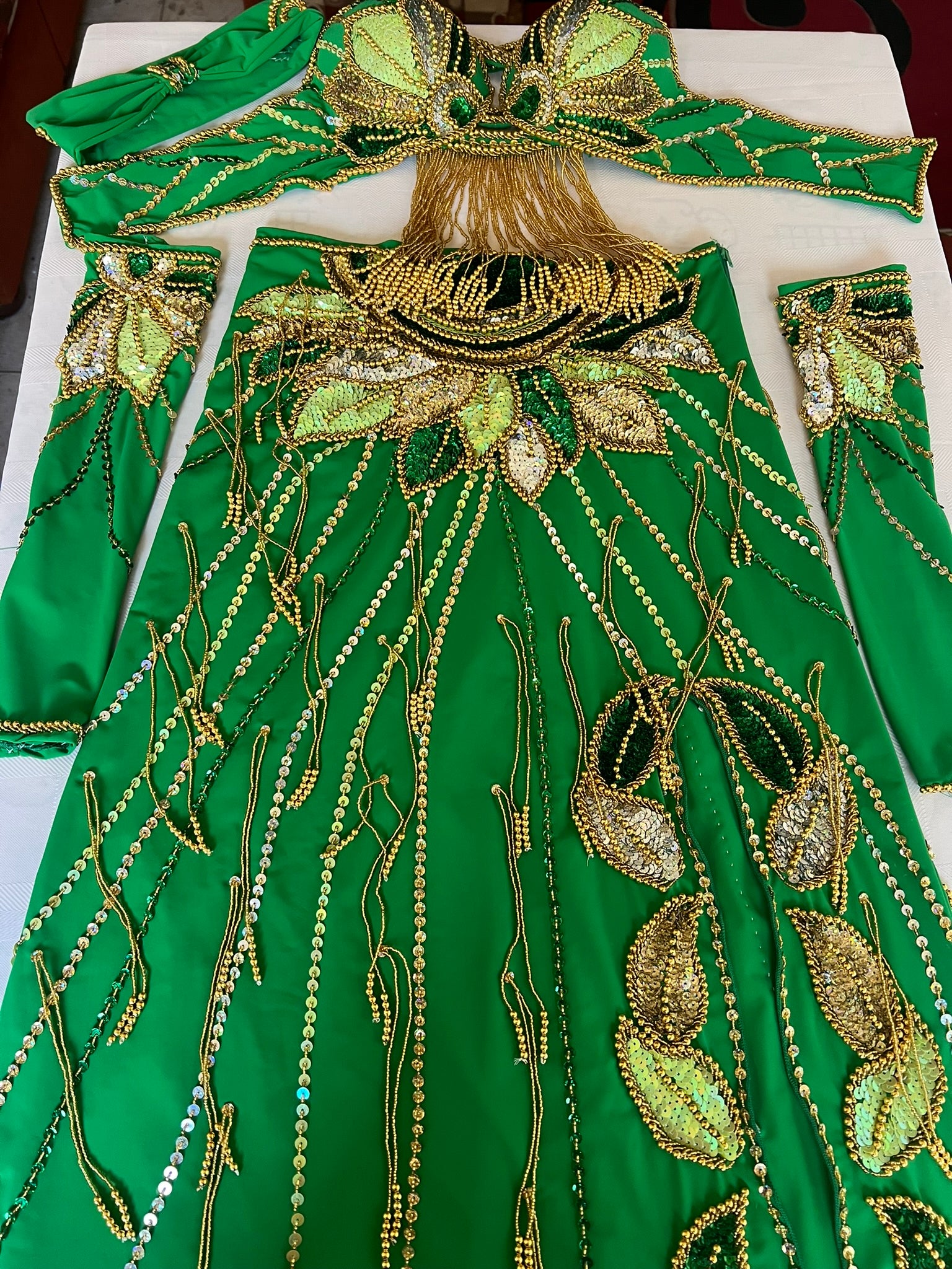 Vibrant green belly dance costume, custom-made dance ensemble, multi-colors embellished Outfit
