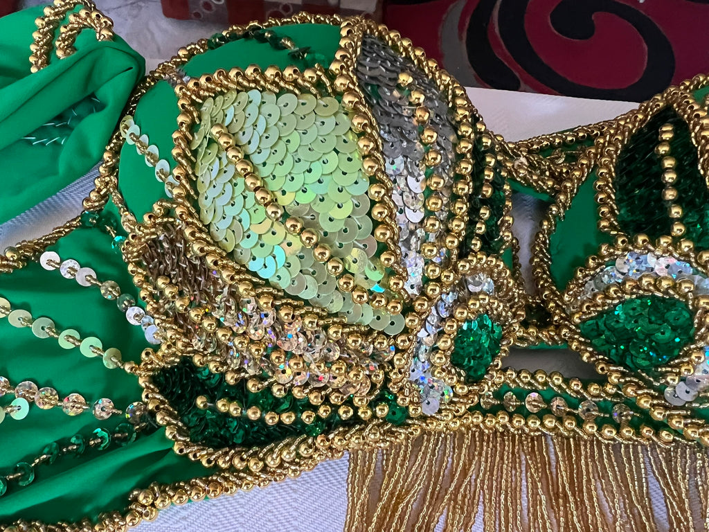 Vibrant green belly dance costume, custom-made dance ensemble, multi-colors embellished Outfit