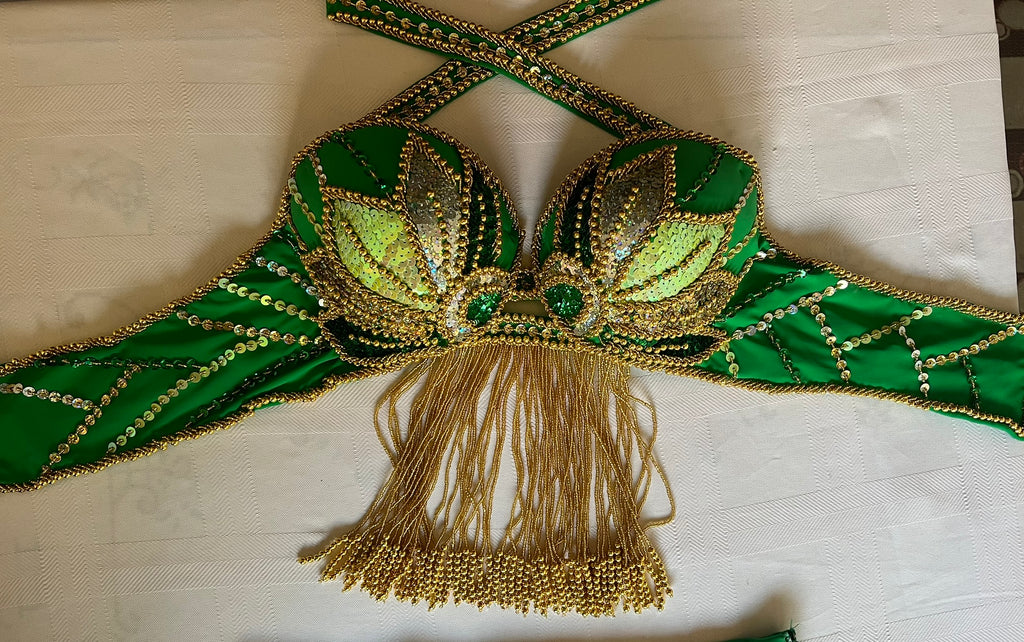 Vibrant green belly dance costume, custom-made dance ensemble, multi-colors embellished Outfit