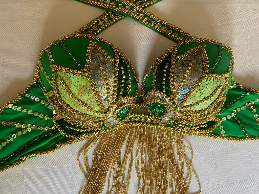 Vibrant green belly dance costume, custom-made dance ensemble, multi-colors embellished Outfit