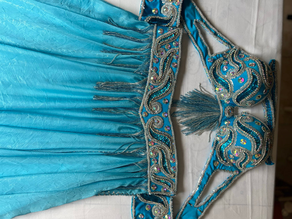 Professional Egyptian belly dance costume, custom-made belly dance outfit, handmade stitched women dancing ensemble, Sexy dancing outfit.