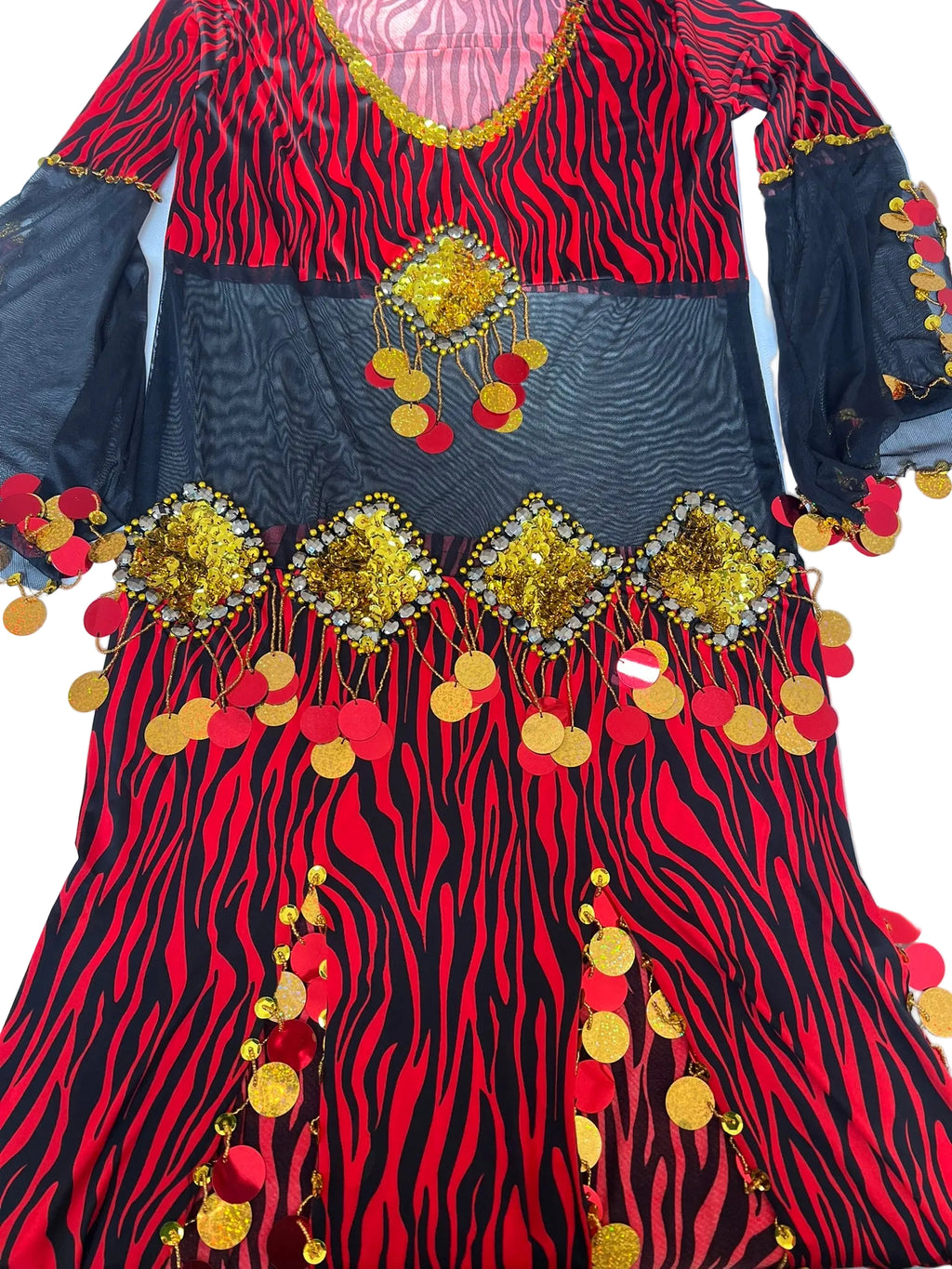 Egyptian Belly Dance Outfit – Handmade Embellished Dancing Skirt with Attached Top