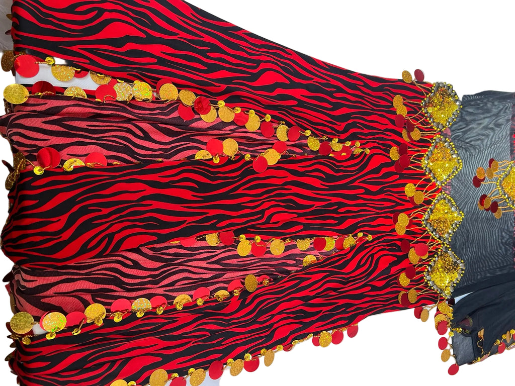 Egyptian Belly Dance Outfit – Handmade Embellished Dancing Skirt with Attached Top