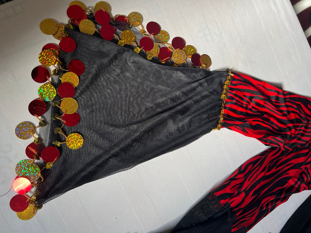 Egyptian Belly Dance Outfit – Handmade Embellished Dancing Skirt with Attached Top