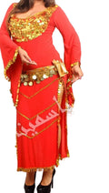 Red belly dance dress with gold embellishments on a white background