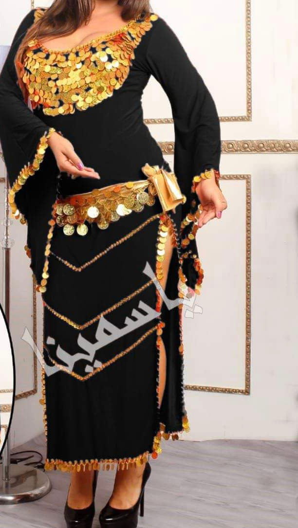 Oriental Egyptian Belly Dance dress, Women dancing costume, Hand stitched outfit