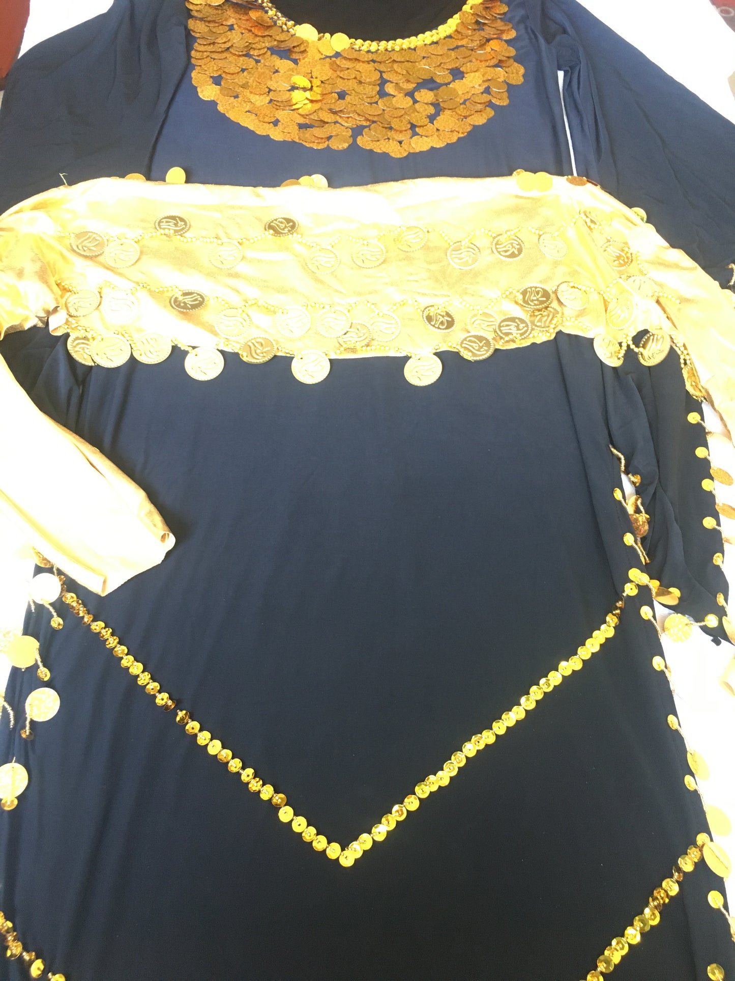 Oriental Egyptian Belly Dance dress, Women dancing costume, Hand stitched outfit