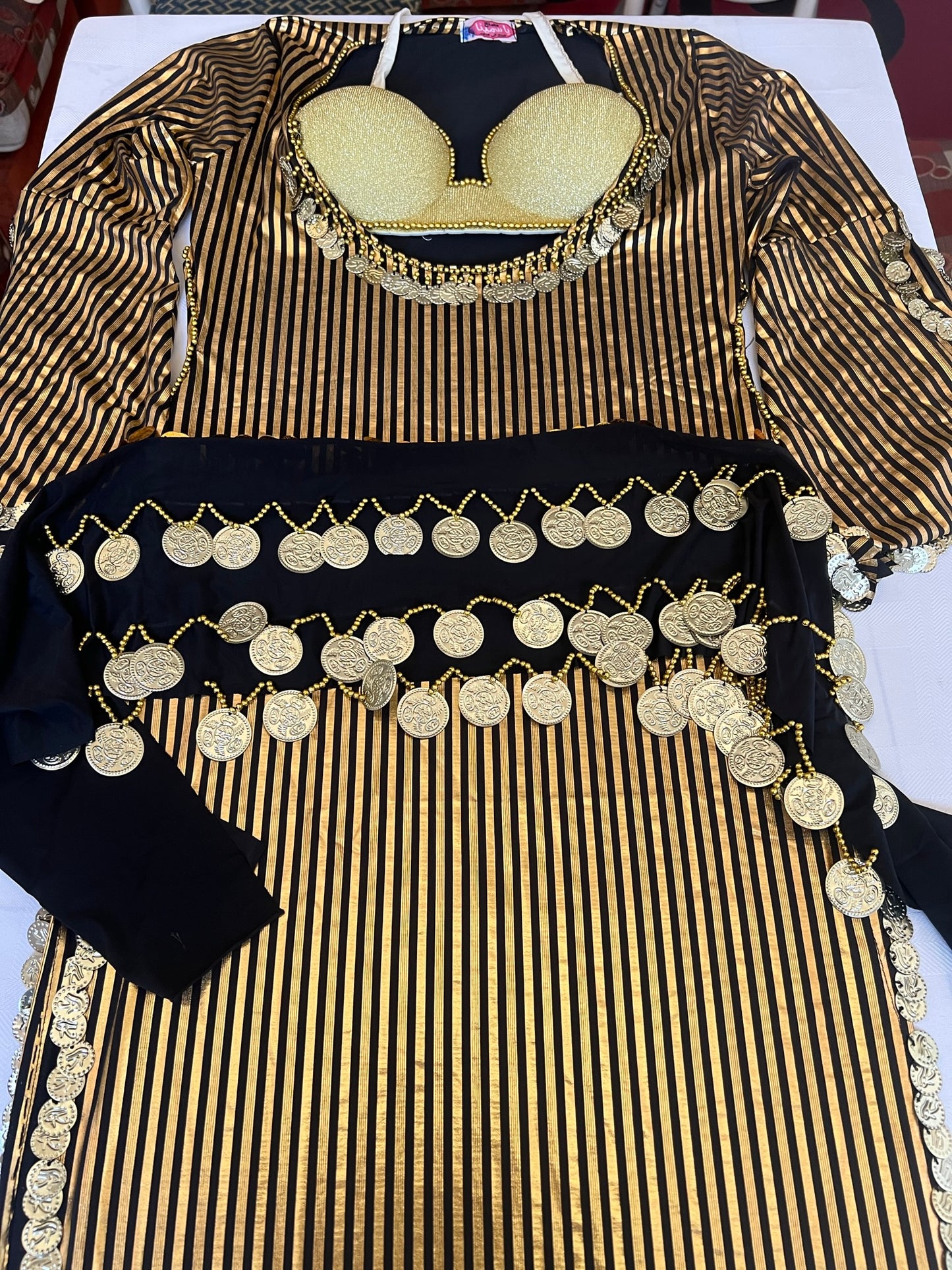 Egyptian Oriental Belly Dance Dress – Includes Bra & Scarf, Stunning Belly dance outfit