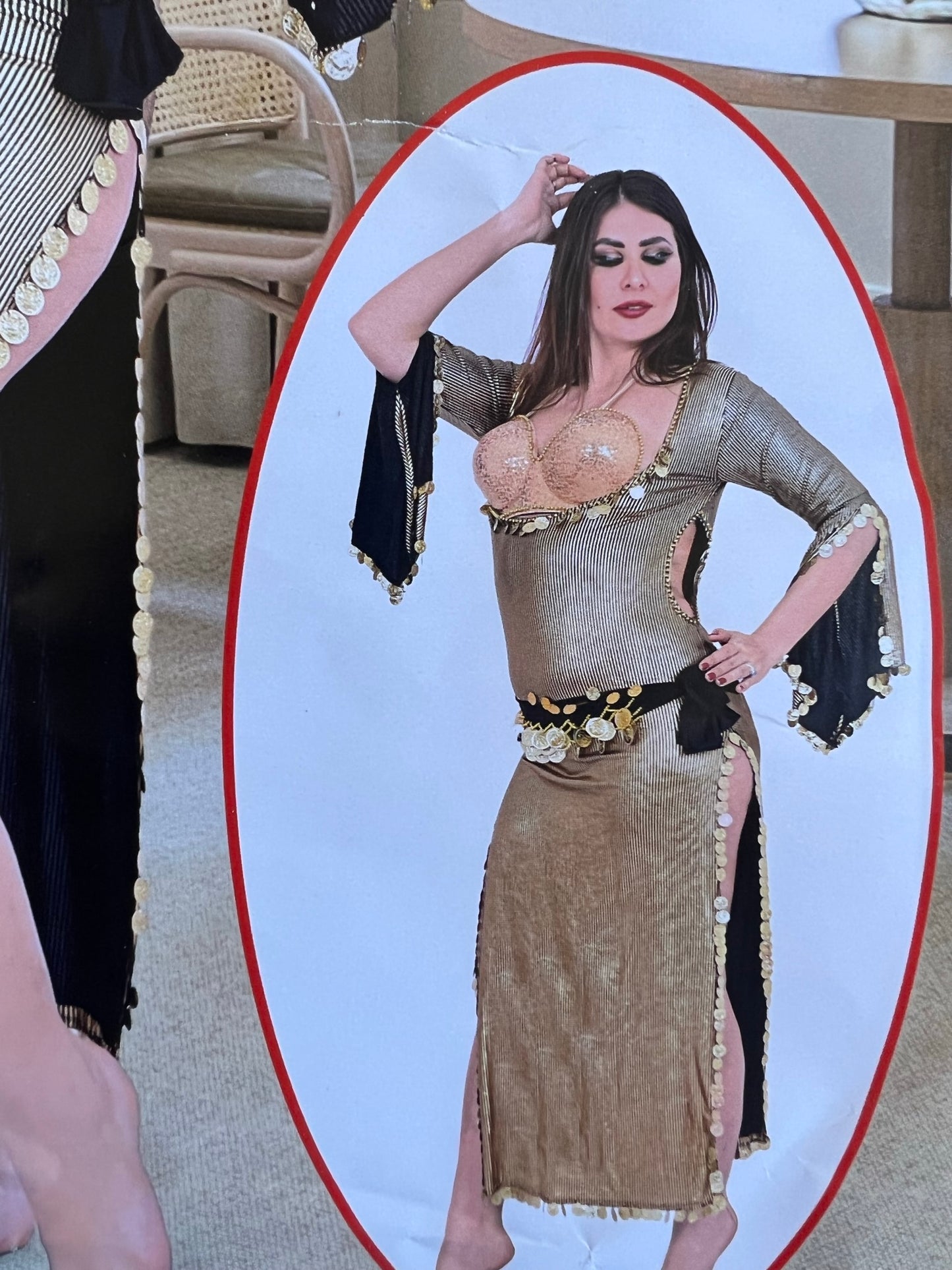 Egyptian Oriental Belly Dance Dress – Includes Bra & Scarf, Stunning Belly dance outfit