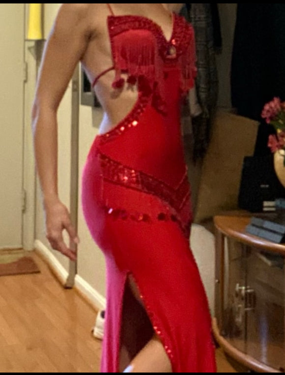 Egyptian Sexy belly dance costume, handmade embroidered bellydance dress unisize