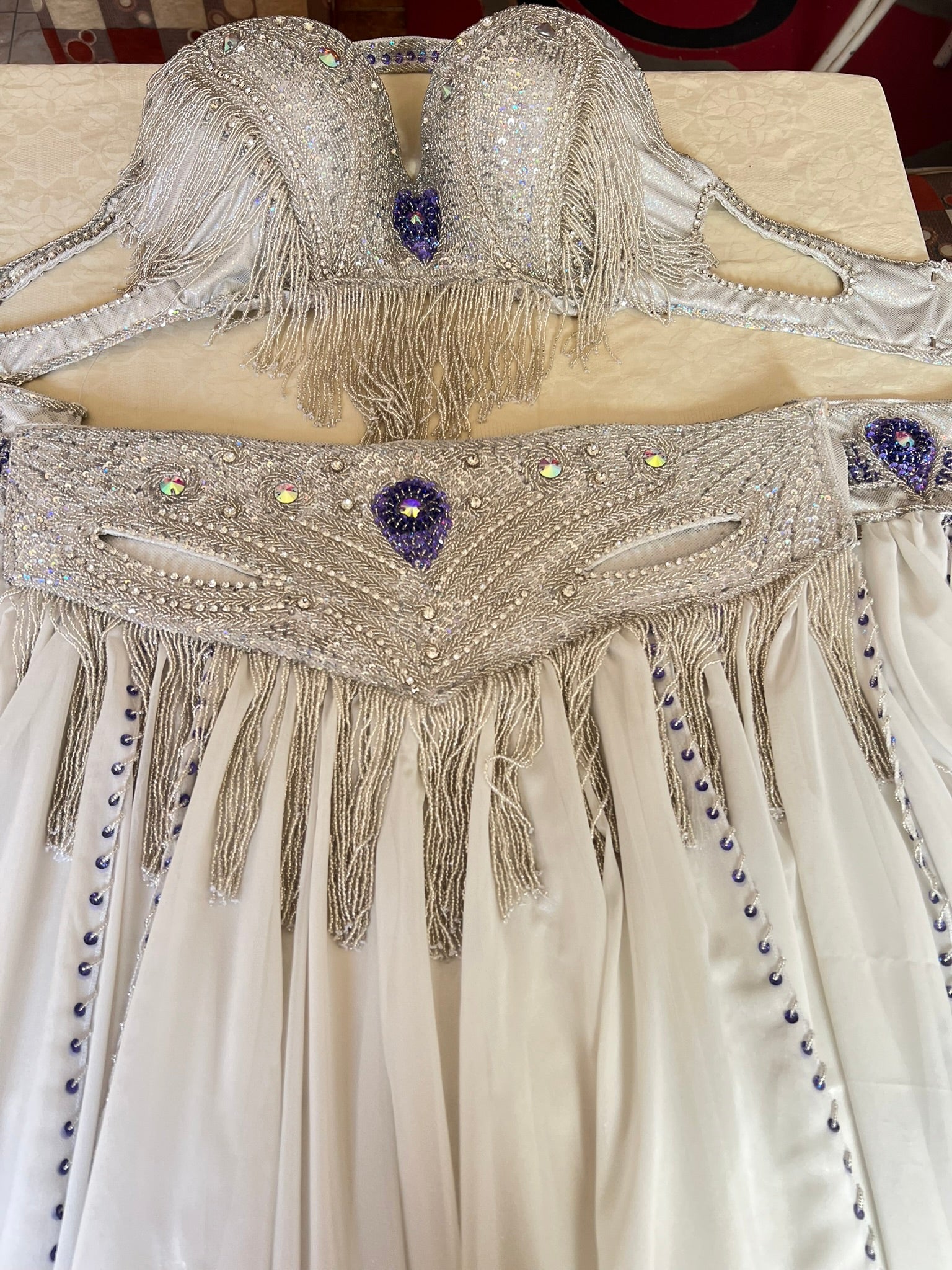 Professional belly dance costume/ Luxurious top quality belly dancer outfit.