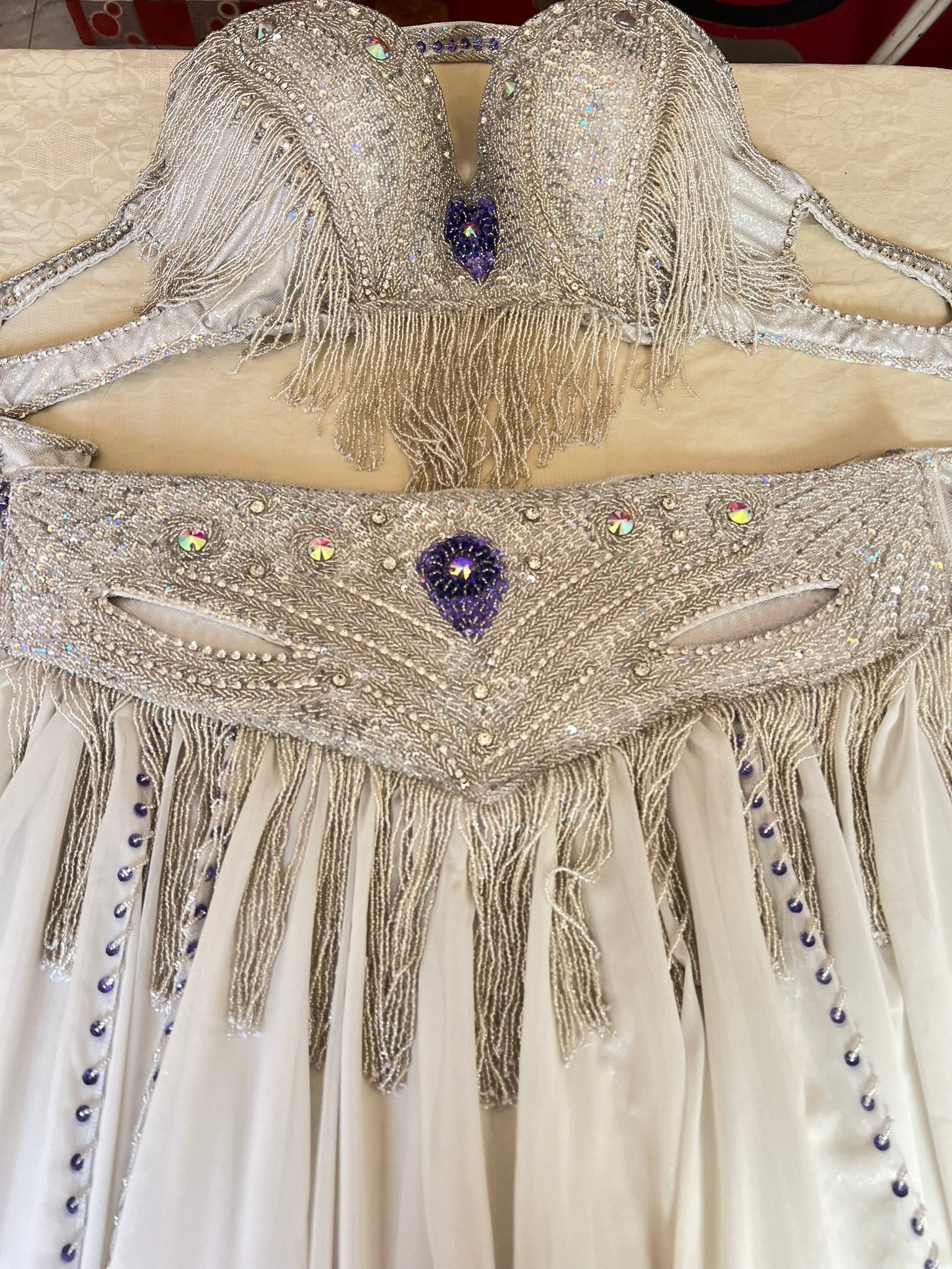 Professional belly dance costume/ Luxurious top quality belly dancer outfit.