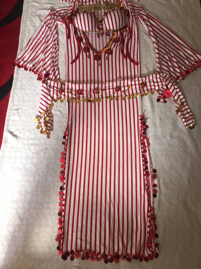  A red and white striped belly dance costume with gold accents on a white background