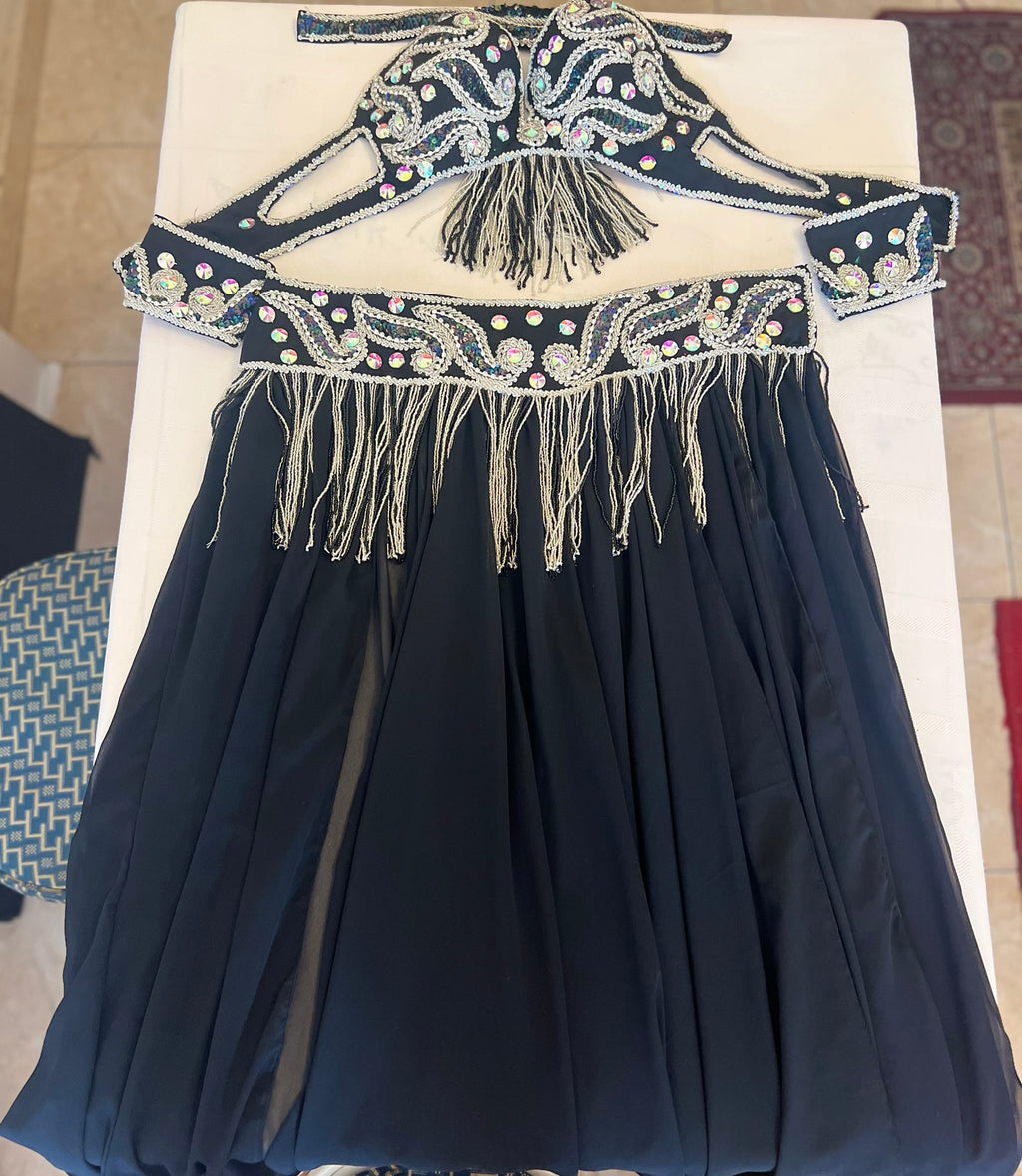 Professional belly dance costume/ Luxurious handmade belly dancer outfit