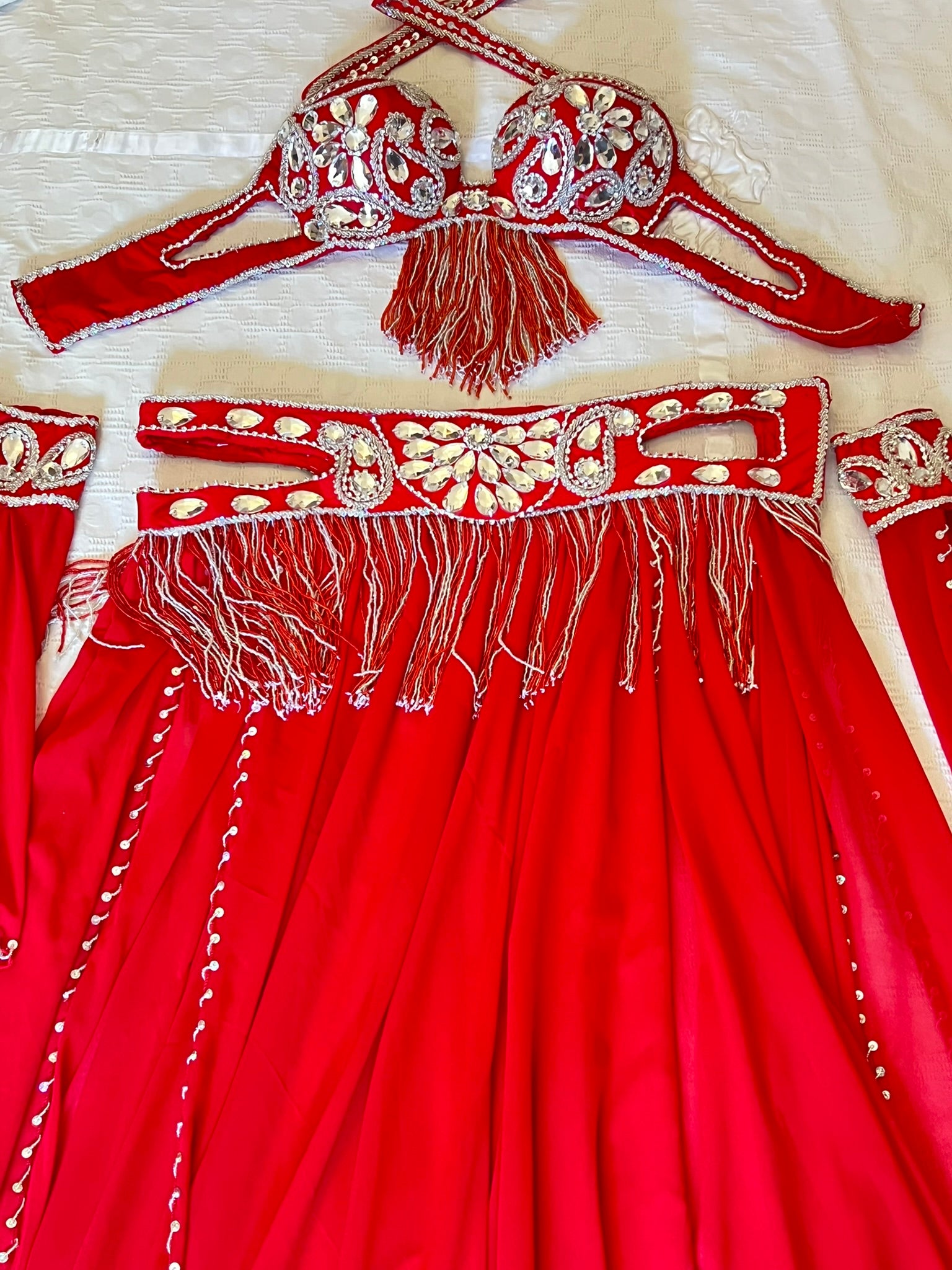 Professional Belly dance costume/ Custom-made luxurious belly dancer outfit
