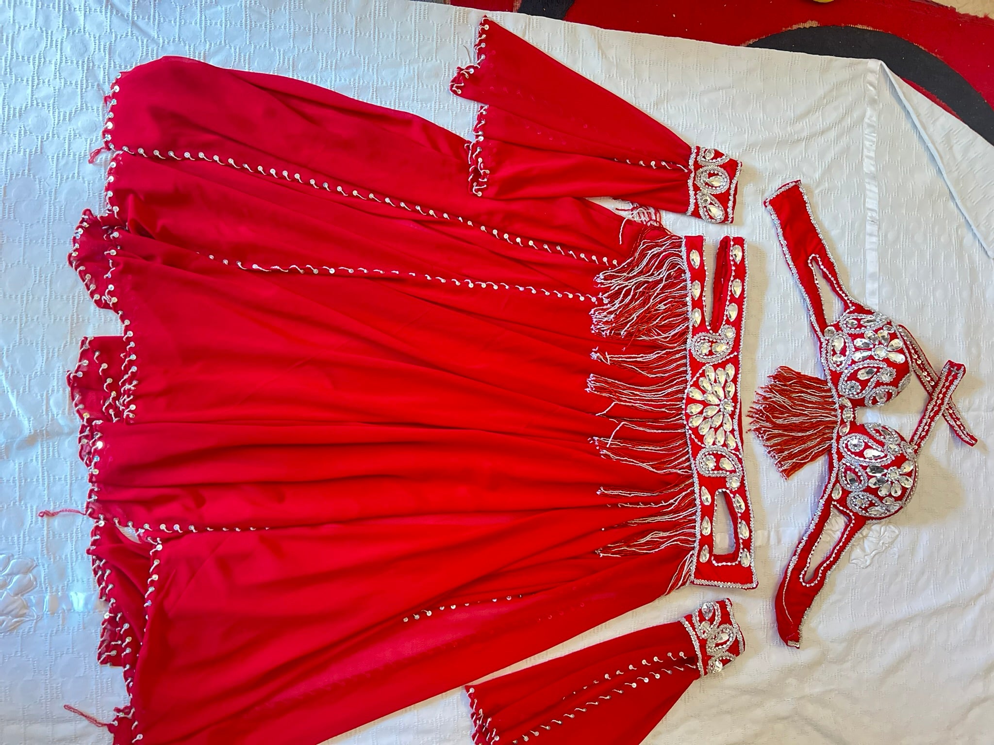 Professional Belly dance costume/ Custom-made luxurious belly dancer outfit