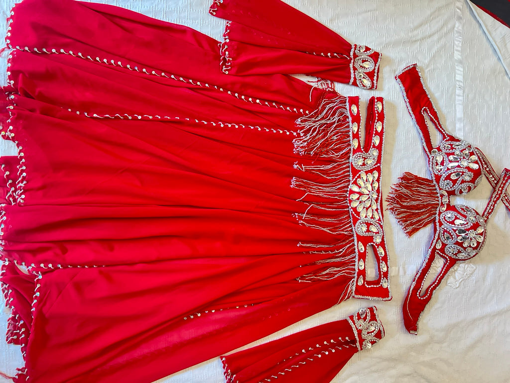 Professional Belly dance costume/ Custom-made luxurious belly dancer outfit