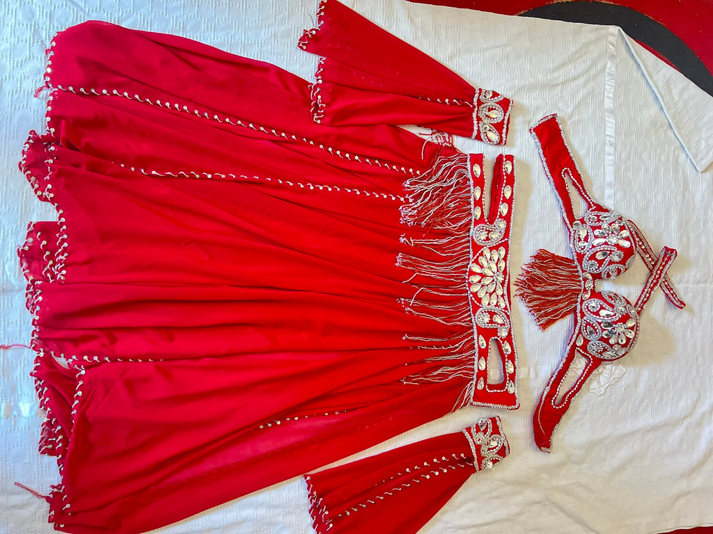 Professional Belly dance costume/ Custom-made luxurious belly dancer outfit