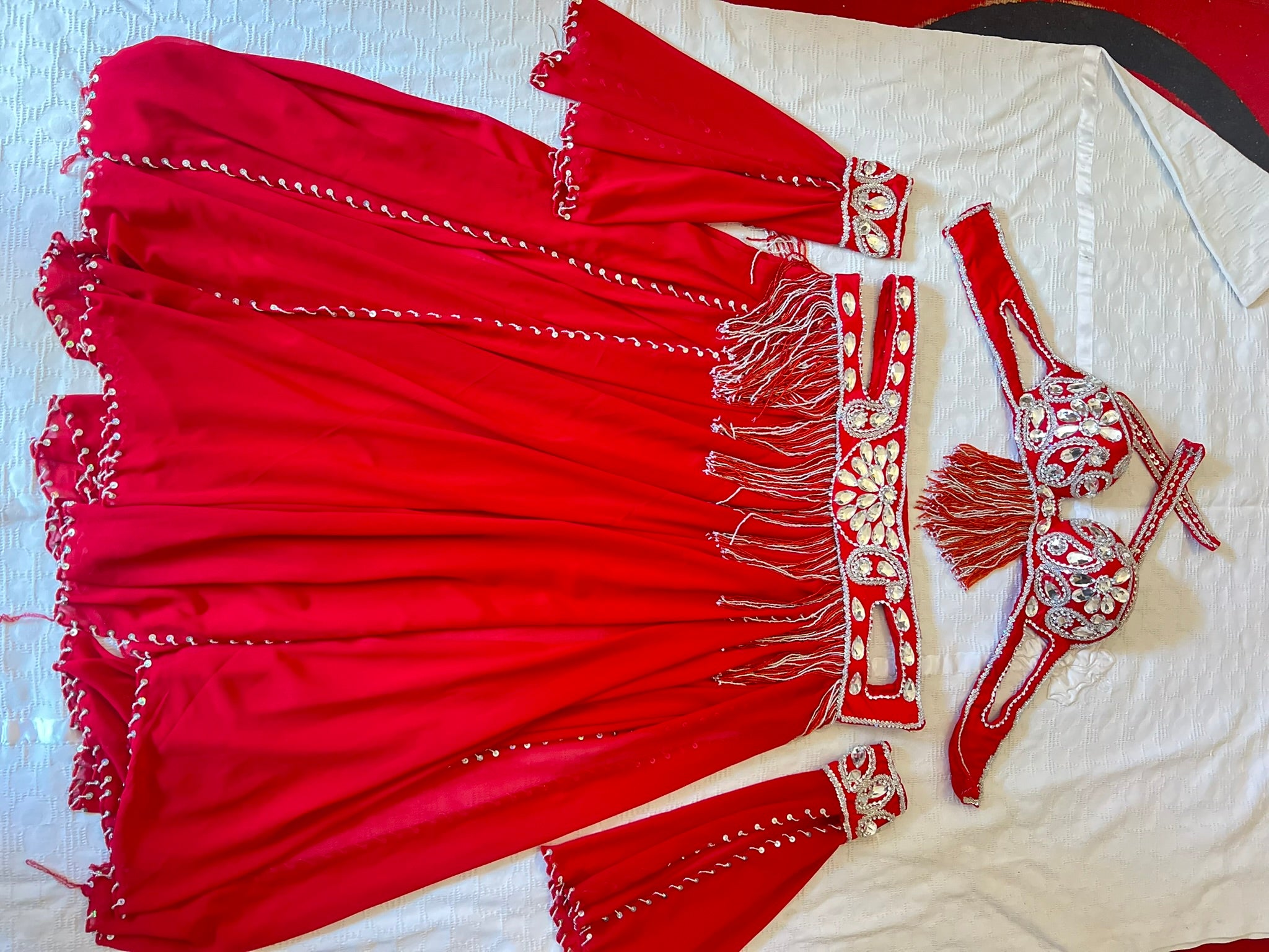 Professional Belly dance costume/ Custom-made luxurious belly dancer outfit