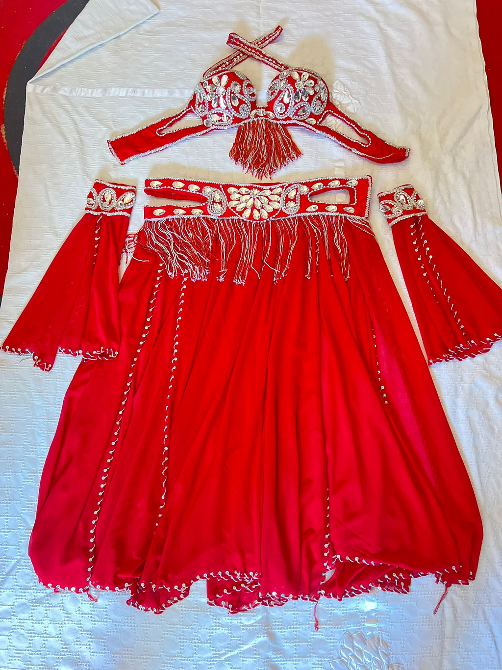 Professional Belly dance costume/ Custom-made luxurious belly dancer outfit