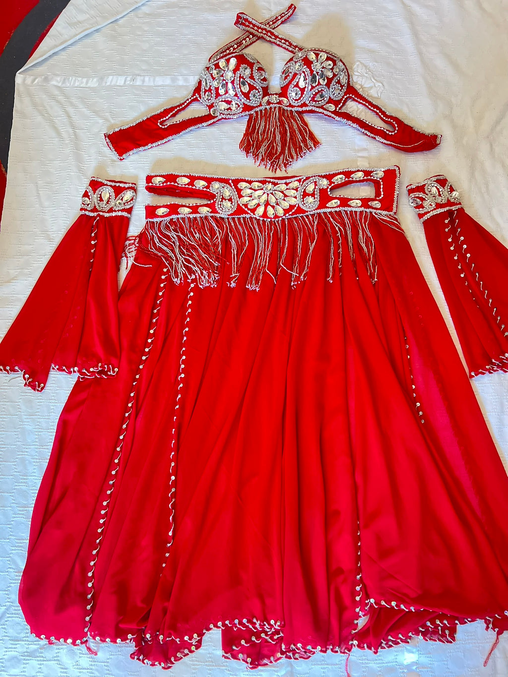 Professional Belly dance costume/ Custom-made luxurious belly dancer outfit